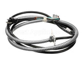 B5310301 Pitco Electric Assembly,Cord In Armor Gpc