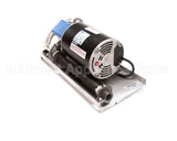 B6678535-C Pitco Filter,Pump Viking 115V Sg 21H