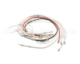 B6710001 Pitco Wiring Harness,Elem E14,E18
