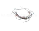 B6711702 Pitco Wiring Harn,Fr Pnl Bzl Rh 7-2Wks