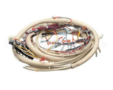 B6728101 Pitco Wiring,Control Fv Adv