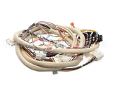 B6728101 Pitco Wiring,Control Fv Adv