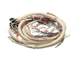 B6728101 Pitco Wiring,Control Fv Adv