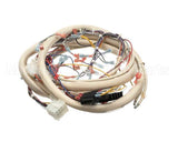 B6728101 Pitco Wiring,Control Fv Adv