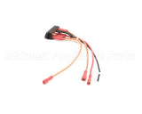 B6744901 Pitco Wiring,Volt Select 120/208/220-24