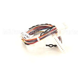 B6746501 Pitco Wiring,Relay Brd To Control Sg