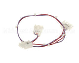 B6750901 Pitco Wiring,Harness Hood Control Sngl Mdg