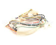 B6751101 Pitco Wiring,Spinal Tap Lower Dg