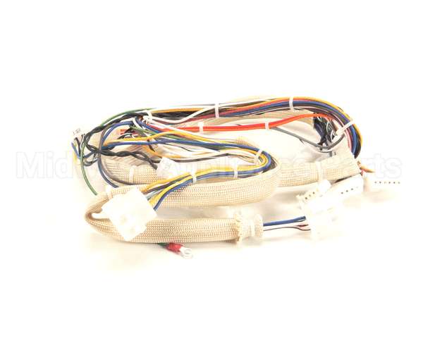 B6751101 Pitco Wiring,Spinal Tap Lower Dg