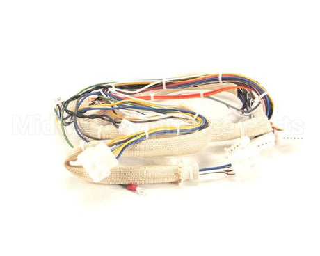 B6751101 Pitco Wiring,Spinal Tap Lower Dg