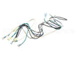 B6752801 Pitco Wiring,Mains To Transformer 440-480 Se