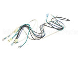 B6752801 Pitco Wiring,Mains To Transformer 440-480 Se