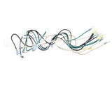 B6752801 Pitco Wiring,Mains To Transformer 440-480 Se