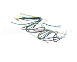 B6752801 Pitco Wiring,Mains To Transformer 440-480 Se