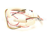 B6753001 Pitco Wiring,Raceway 24Rufm Dd