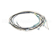 B6756101 Pitco Wiring,Mains To Transformer 440-480 Se18