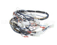B6758901 Pitco Wrg,Cntrl Lft/Sgl Se W/Em99
