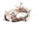 B6759501 Pitco Wiring,Spinal Tap Lower Fbg