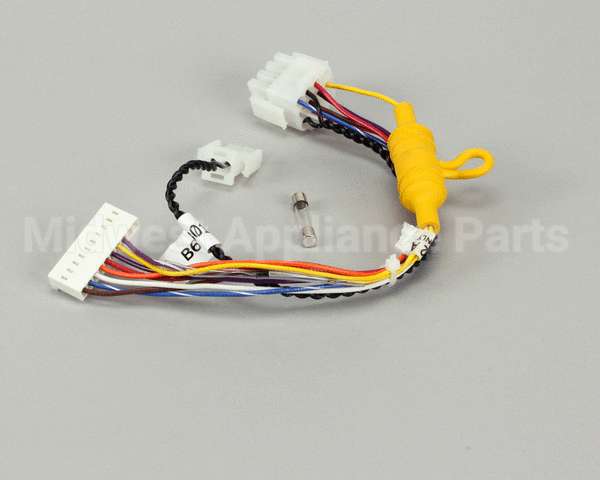 B6760301 Pitco Wiring,Rly Brd/Control Rt Fuse Mg