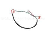 B6760501 Pitco Wiring,Harness Clean Swp Sg