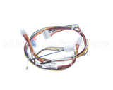 B6763301 Pitco Wire, Harness, P508