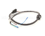 B6779001 Pitco Wiring,B/L Main Actr