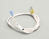 B6779850 Pitco Wr Radix Assembly.