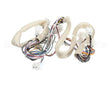 B6781501 Pitco Wiring,Spinal Tap Lwr Srtg
