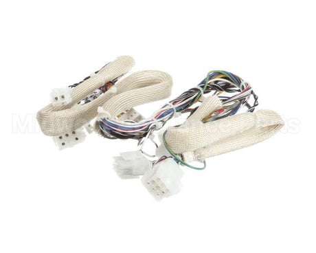 B6781501 Pitco Wiring,Spinal Tap Lwr Srtg
