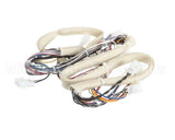 B6781501 Pitco Wiring,Spinal Tap Lwr Srtg