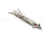 B6782001 Pitco Wiring,Hv 1Ph 3Ph Delta Srte