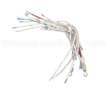 B6782301 Pitco Wrg, Hv 3Ph Wye Srte