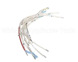 B6782301 Pitco Wrg, Hv 3Ph Wye Srte