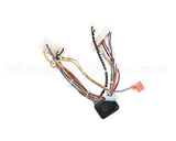 B6783201-C Pitco Wiring,Bzl Dig Cpi W/Dc Srtg