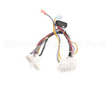 B6783201-C Pitco Wiring,Bzl Dig Cpi W/Dc Srtg