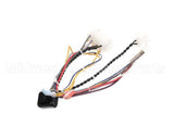 B6783201-C Pitco Wiring,Bzl Dig Cpi W/Dc Srtg