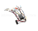 B6783202-C Pitco Wiring,Bzl Dig Cpi Au-On Dc Srtg