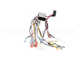 B6783202-C Pitco Wiring,Bzl Dig Cpi Au-On Dc Srtg