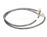 B6784201 Pitco Wiring,Cbl Rr Extend I-12 Rmt Wtb