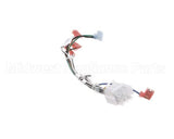 B6786702 Pitco Wiring,Harn Ei Mod Ce Lh