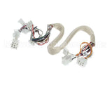 B6788101 Pitco Wiring,Spinal Tap Sspg