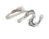 B6788101 Pitco Wiring,Spinal Tap Sspg