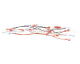 B6788301 Pitco Gpc W/Sstc Wiring