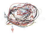 B6792601 Pitco Wiring,Gpc Digital W/Ei