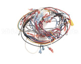 B6792601 Pitco Wiring,Gpc Digital W/Ei