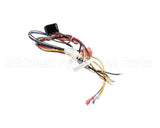 B6796201 Pitco Wiring,Bzl Cpi W/Dc Tb-Srt