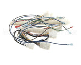 B6796302 Pitco Wiring,Power Control Box Tb-Srtg Rh