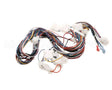 B6803601 Pitco Wiring,Control Single Sshlv