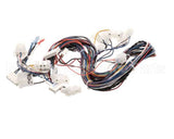 B6803601 Pitco Wiring,Control Single Sshlv