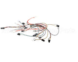 B6807501 Pitco Wrg,Harn Com Box Sos